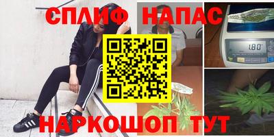 прущие грибы Кулебаки