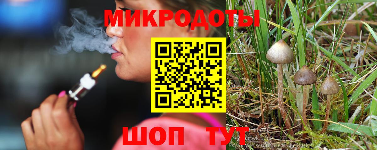 Псилоцибиновые грибы мицелий Карачаевск